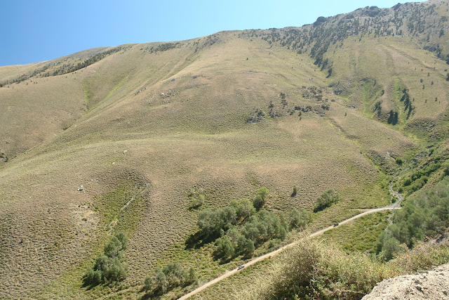 DSC01686.JPG
