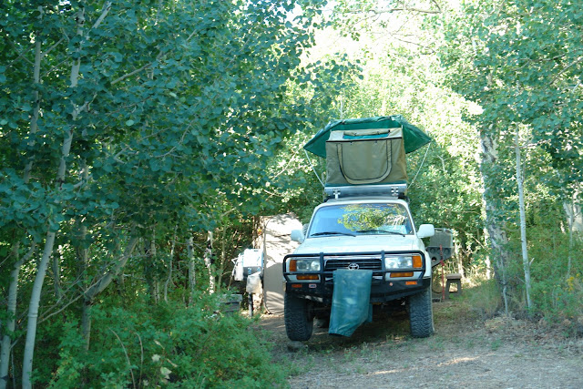 DSC01811.JPG