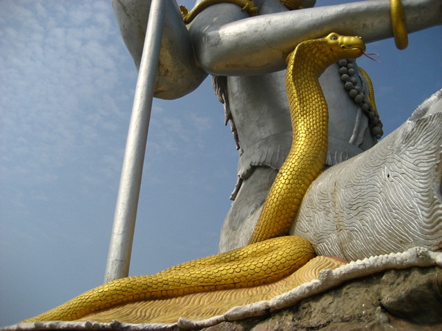 [IMG_47165.jpg]