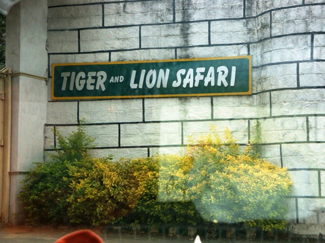 [DSC006216.jpg]