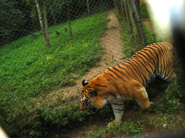 [IMG_45988.jpg]