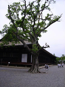 Main building of Sanjūsangen-dō
