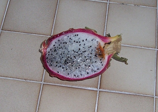 [dragon fruit[2].jpg]