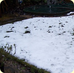 February 2009 melting snow3