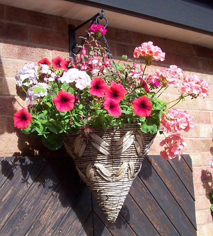 [Hanging basket[4].jpg]