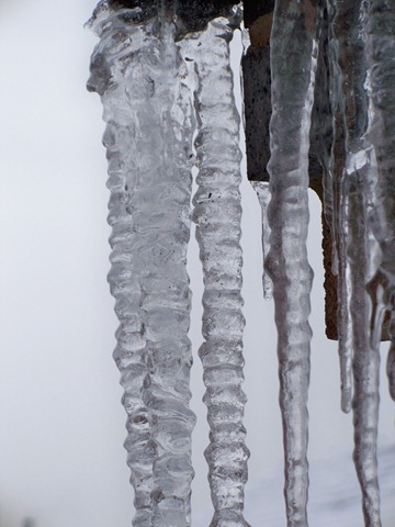 [Icicle-family-314.jpg]