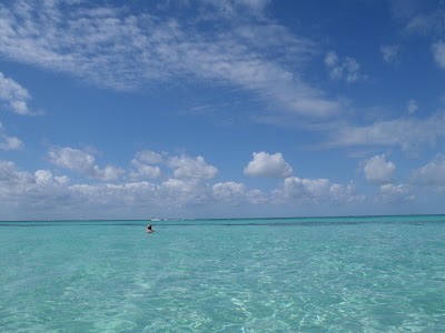 PB132356.JPG