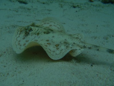 PB142485.JPG