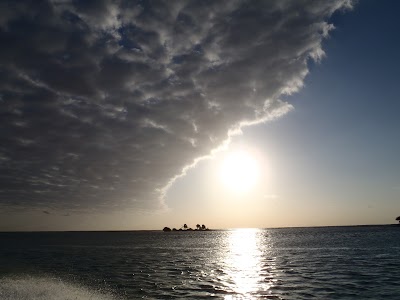 PC270876.JPG