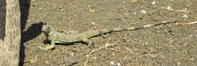 IMG_2248.JPG