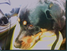May 2009 1st Oncology Visit
