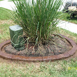 Jeffs pictures 694.jpg