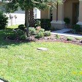 Jeffs pictures 878.jpg