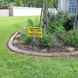 Jeffs pictures 192.jpg