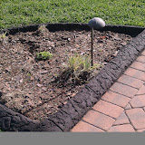 IMAG0220.jpg