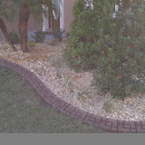 IMAG0247.jpg