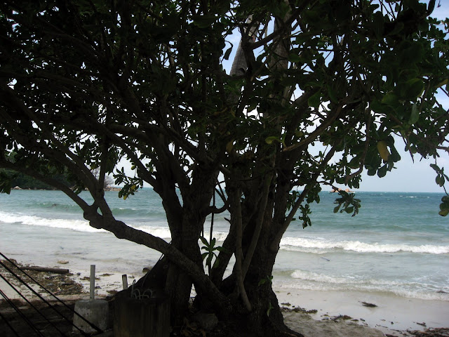 [IMG_5455.JPG]