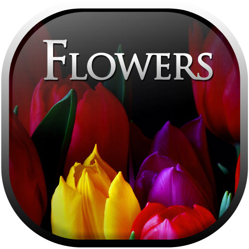 Flowers LOGO-APP點子