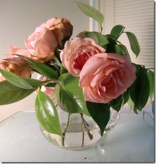 Inspiration for Rose Poetry