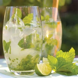 [Mojito[3].jpg]