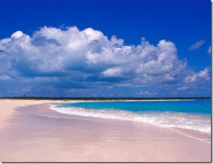 pink sand beach