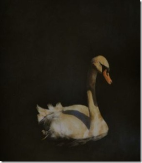 Swan 60x60 3400 - Copy