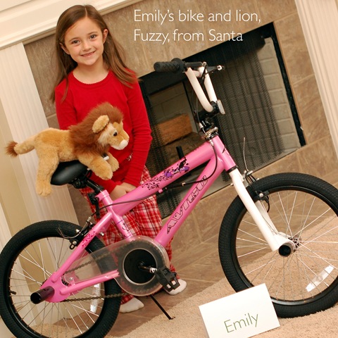 [1emilysbike7.jpg]