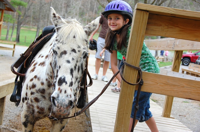[emily's horse2 copy[2].jpg]