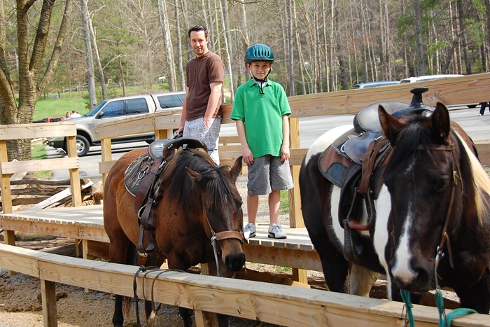 ryan's horse copy