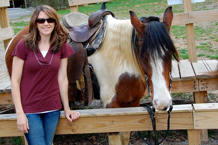 Lisa's horse copy