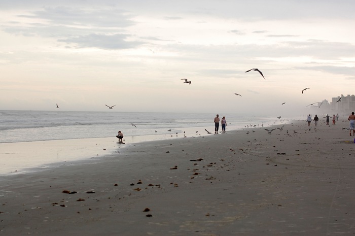 [beach[2].jpg]