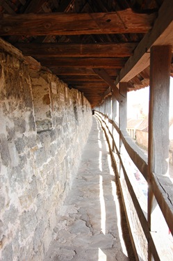 1 wall-2