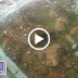 MVI_6174.AVI