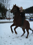 winter 09 - 10 - 11.jpg