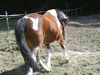 DSC04843.jpg