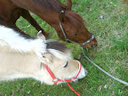 DSC04935.jpg