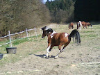 DSC04855.jpg