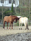 DSC07632.jpg