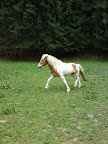 DSC07719.jpg