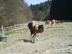DSC04856.jpg