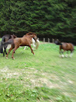 DSC07724.jpg