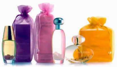 essteelauder 412x235.jpg