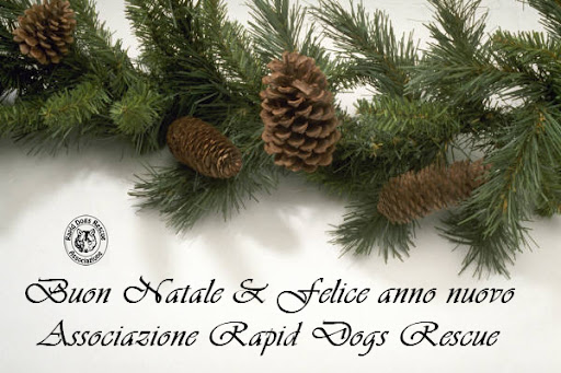 auguri2011.jpg