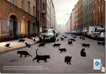 if_car_insurance