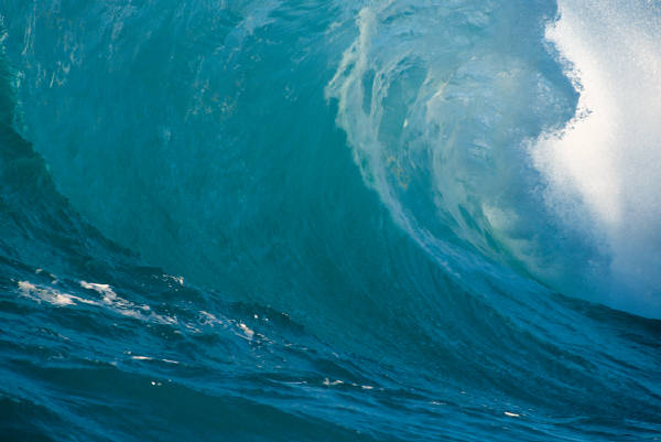 [Web 3 New Wave[1].png]