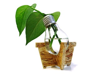 Green Idea Bulb