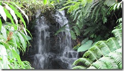 IMG_0675