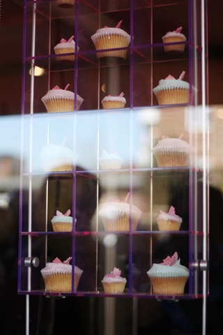 [humming_bird_cupcakes[5].jpg]