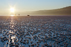 K200D_20090110_00387.jpg