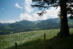 K20D_20090601_02059.jpg